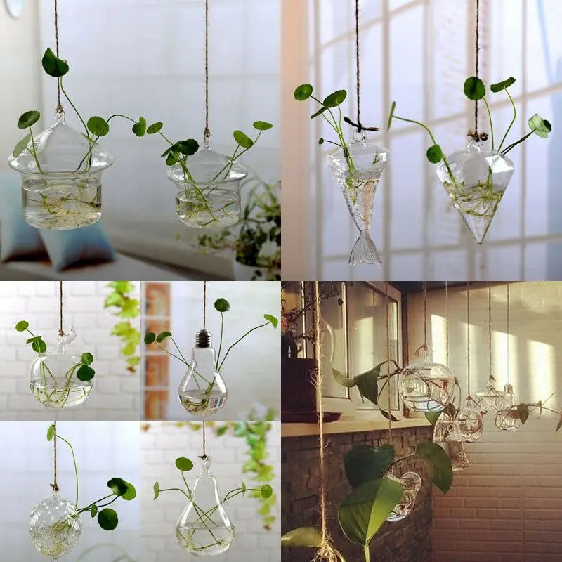 Pots de plant en verre avec support  Decor Harmony
