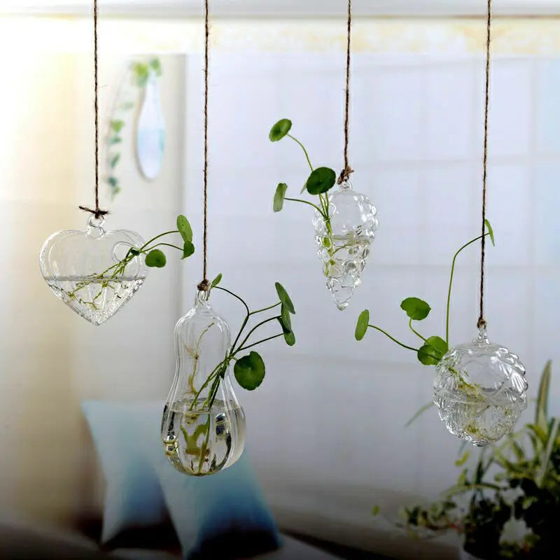 Pots de plant en verre avec support  Decor Harmony